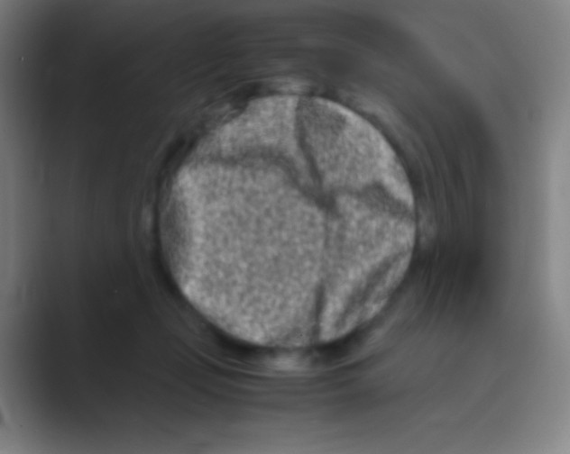 X0000088720365200706282108