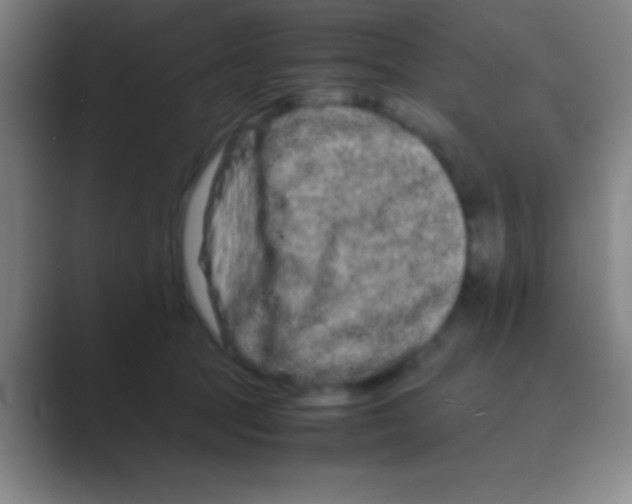 X0000088720369200706282108