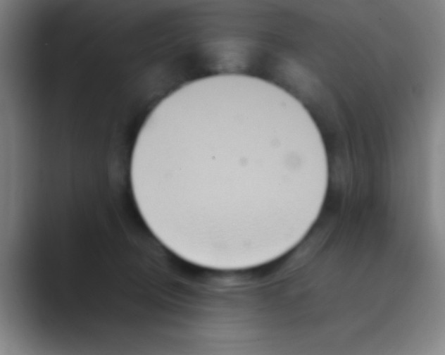 X0000088720370200706282108