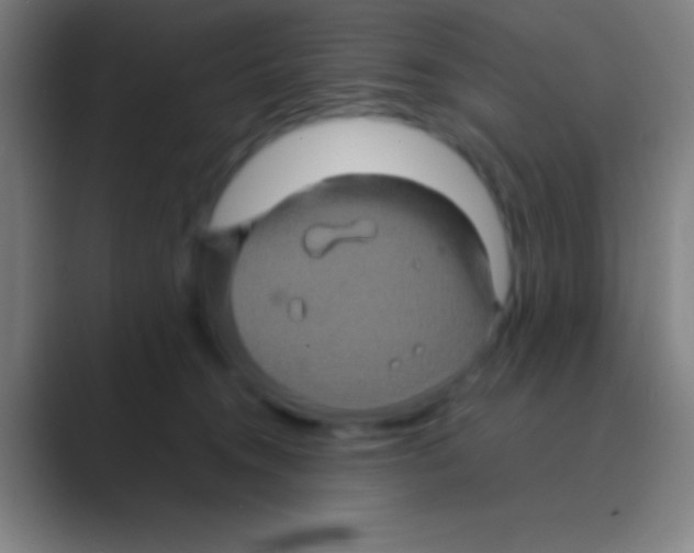 X0000088720372200706282108