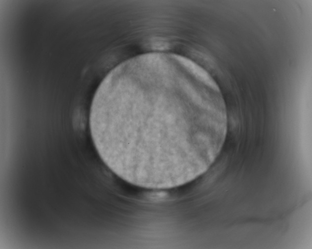 X0000088720374200706282108