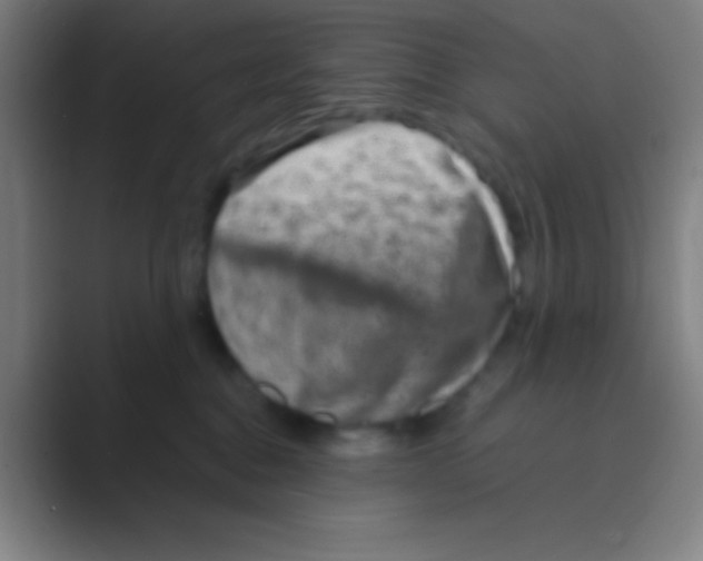 X0000088720376200706282108