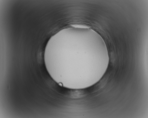 X0000088720378200706282108