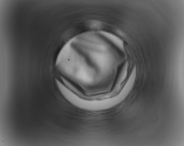 X0000088720379200706282109