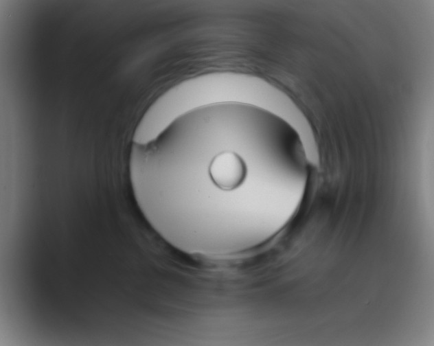 X0000088720380200706282109