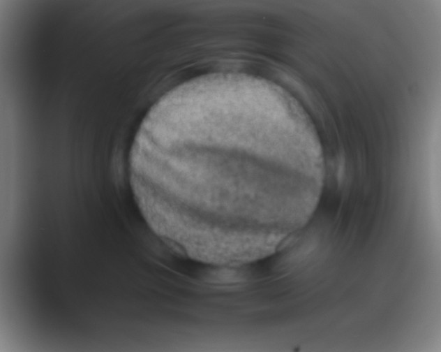 X0000088720381200706282109