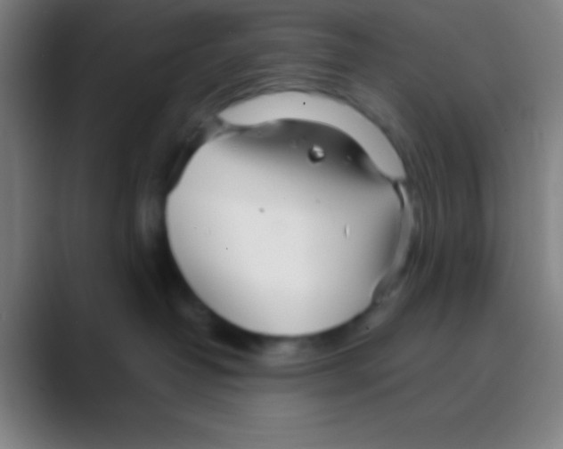 X0000088720382200706282109