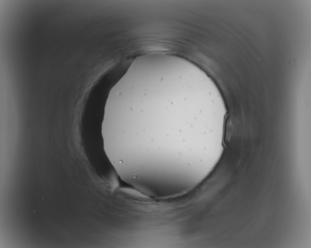 X0000088720385200706282108