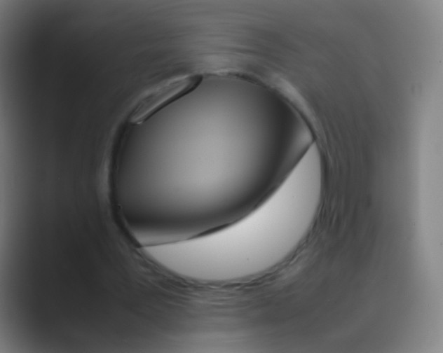 X0000088720387200706282108