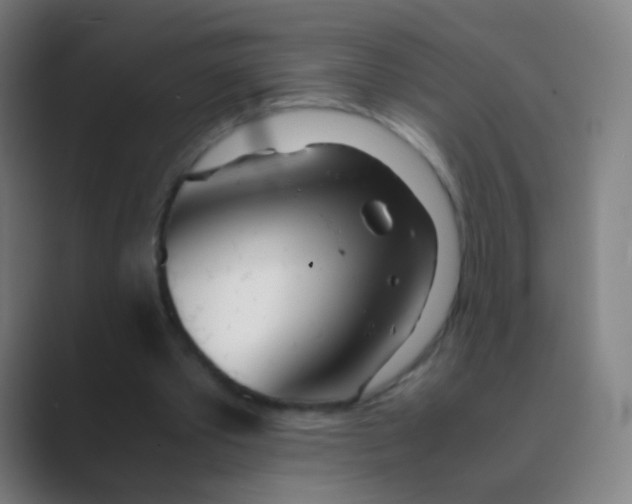 X0000088720389200706282108