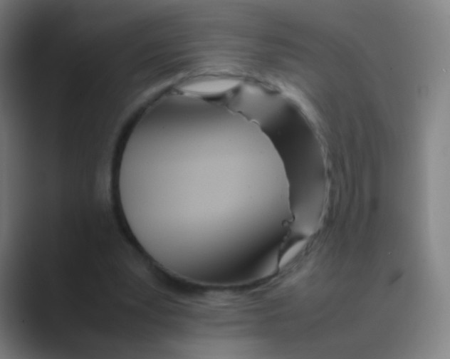 X0000088720391200706282108