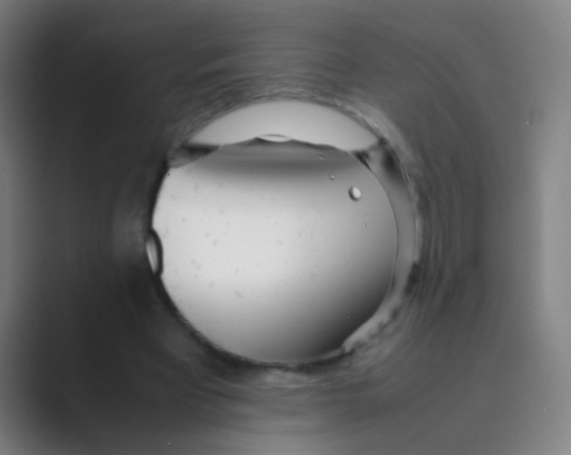 X0000088720393200706282108