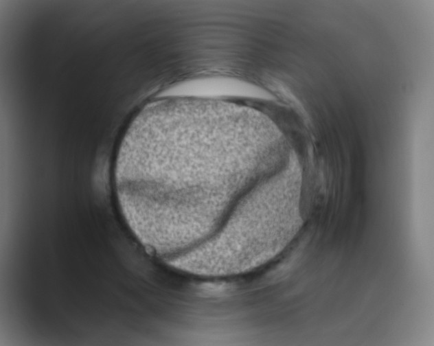 X0000088720394200706282108