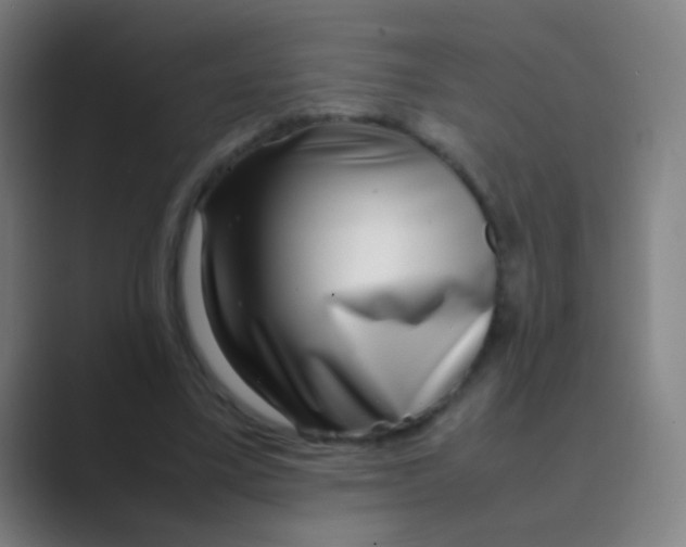 X0000088720395200706282108