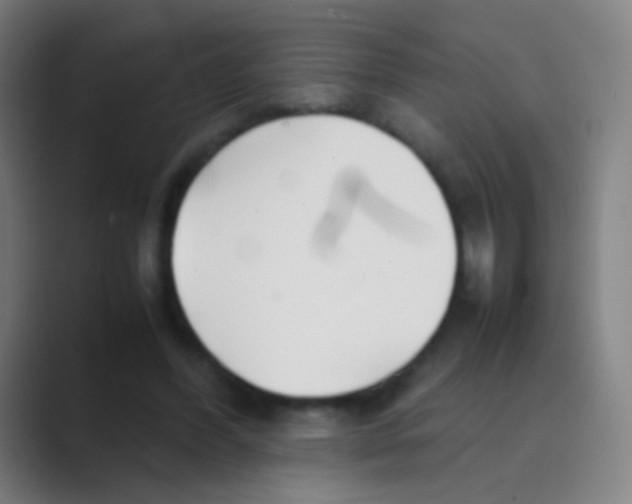 X0000088720396200706282108