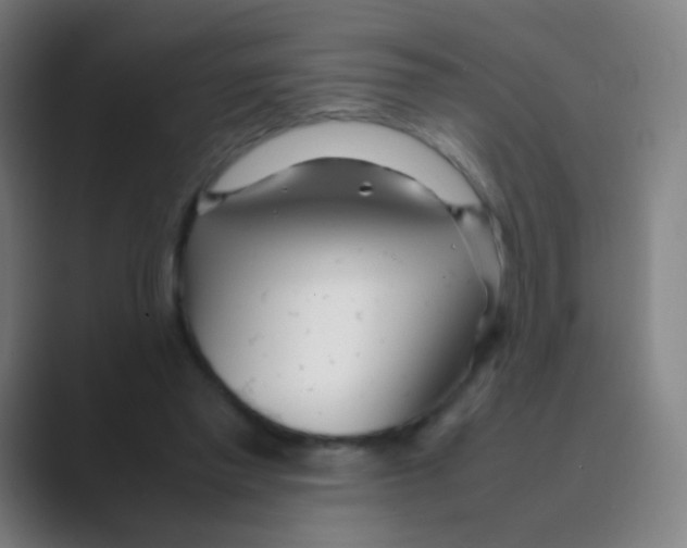 X0000088720397200706282108