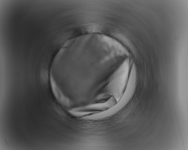 X0000088720401200706282108