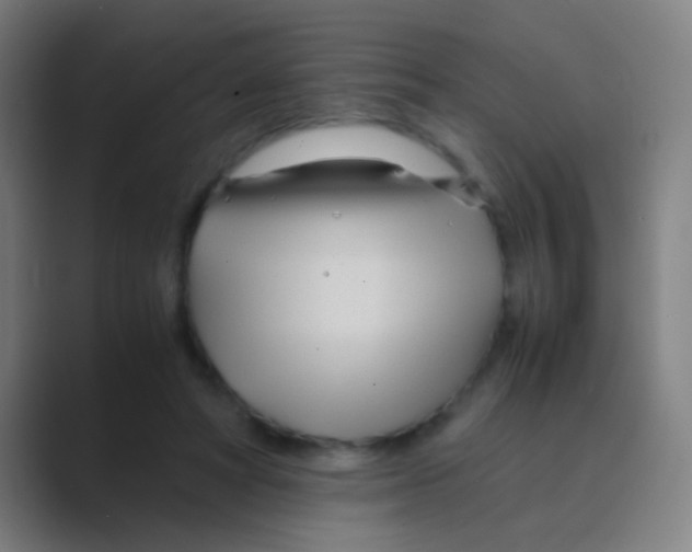 X0000088720402200706282108