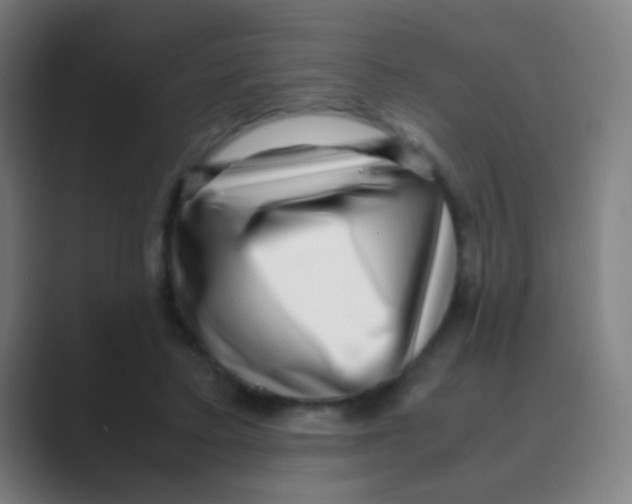 X0000088720403200706282108