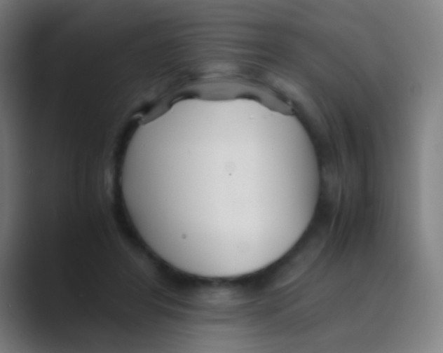 X0000088720404200706282108