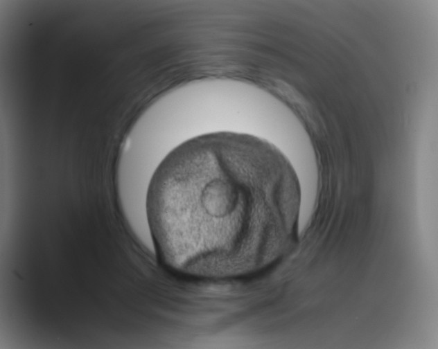 X0000088720405200706282108