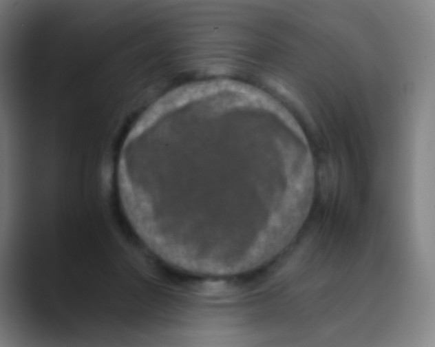 X0000088720406200706282108