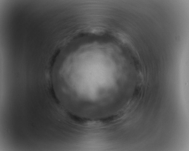 X0000088720415200706282108