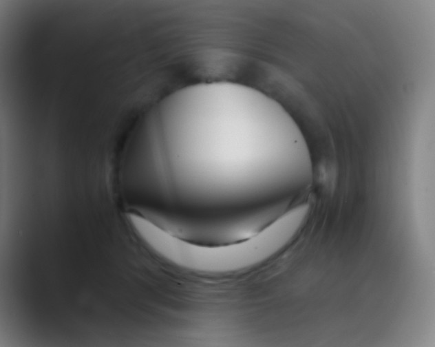 X0000088720416200706282108