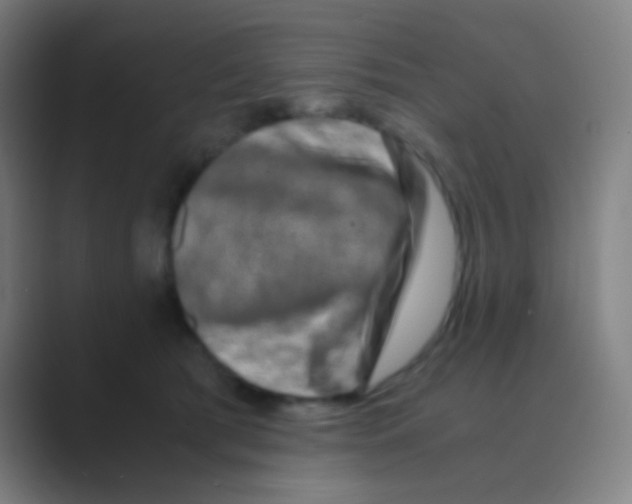 X0000088720417200706282108