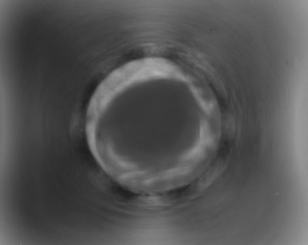 X0000088720419200706282108