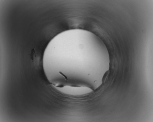 X0000088720420200706282107