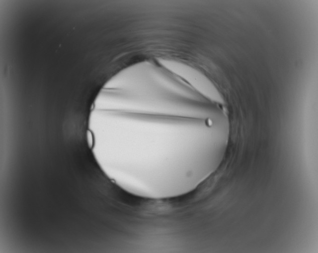 X0000088720421200706282107