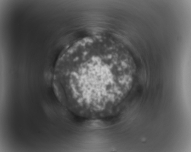 X0000088720427200706282107