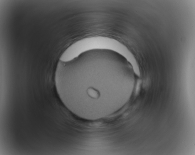 X0000088720428200706282107