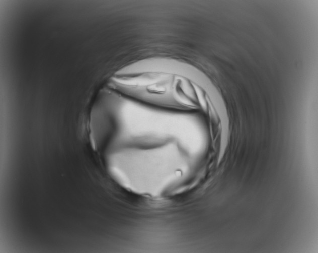 X0000088720429200706282107