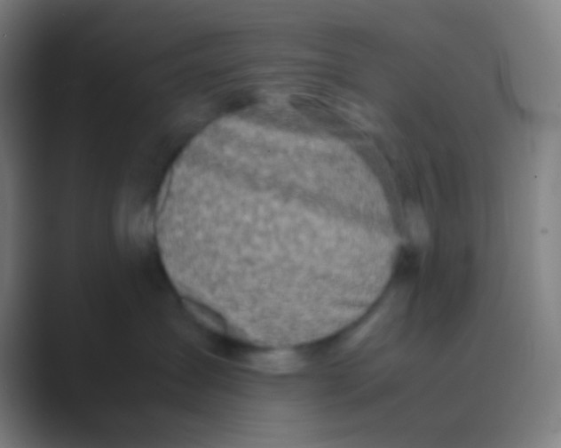 X0000088720431200706282107