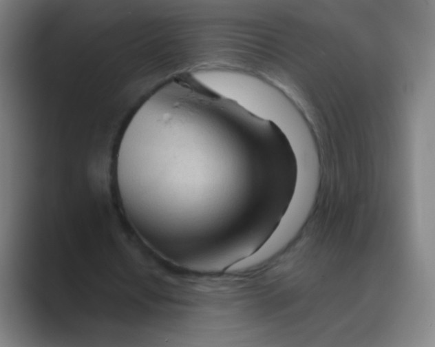 X0000088720434200706282107