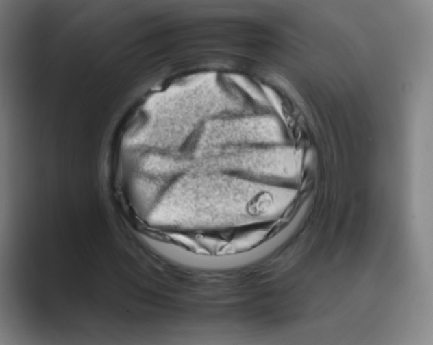 X0000088720435200706282107