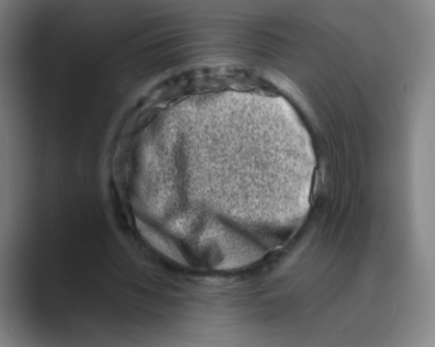 X0000088720436200706282107