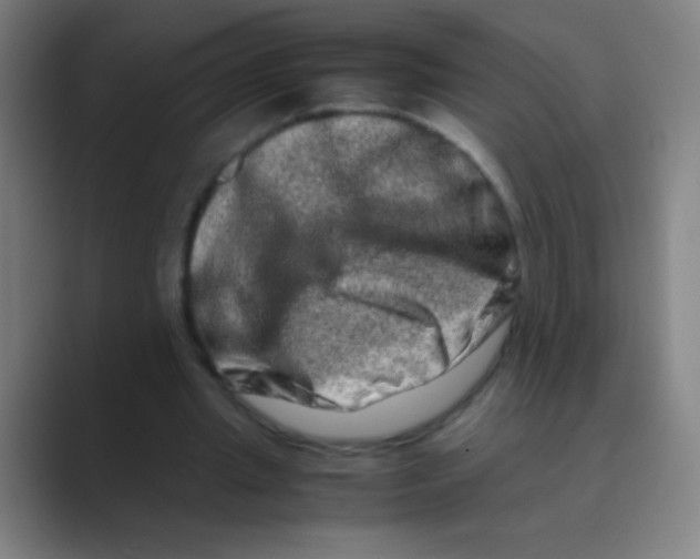 X0000088720437200706282107