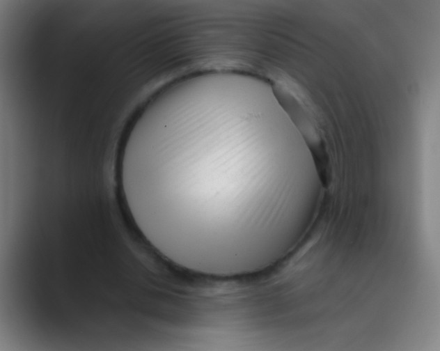 X0000088720438200706282107