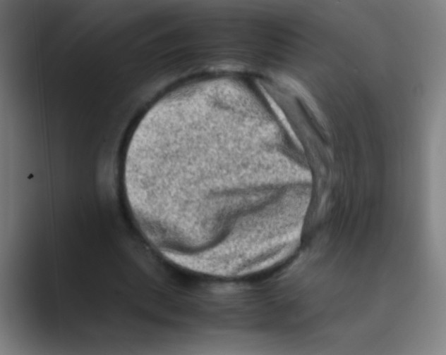 X0000088720439200706282107