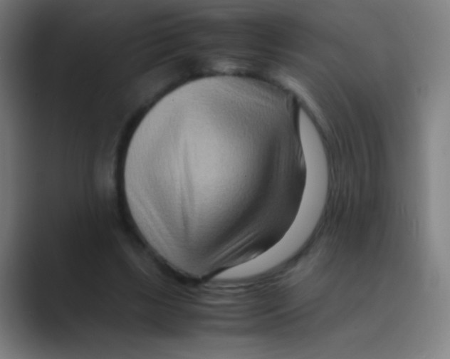 X0000088720443200706282107