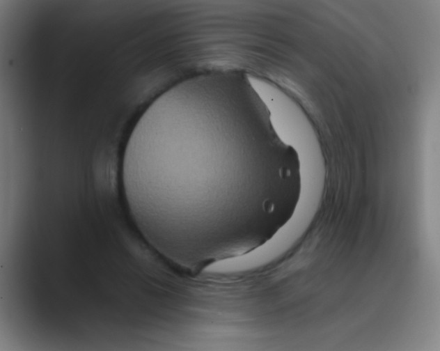 X0000088720446200706282107