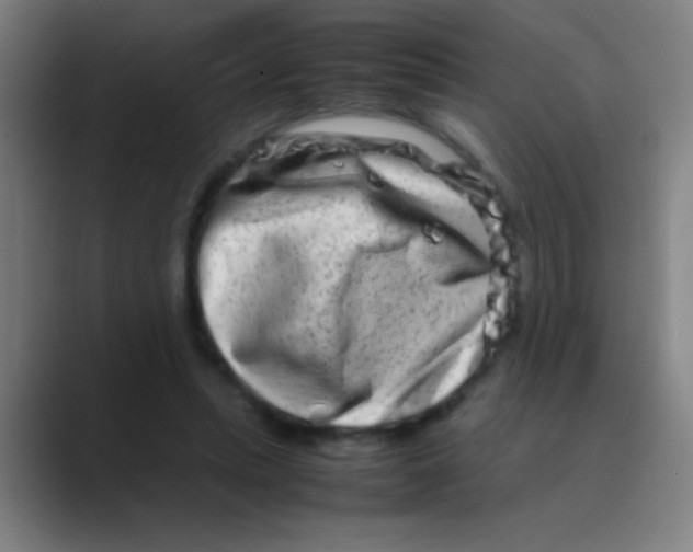 X0000088720447200706282107