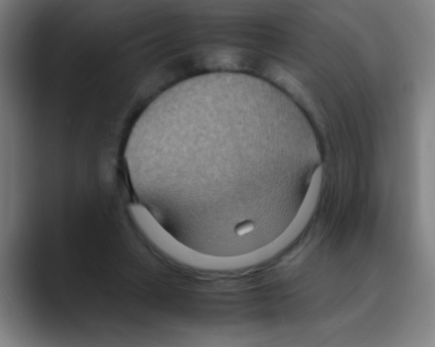 X0000088720449200706282107