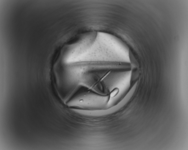 X0000088720450200706282107