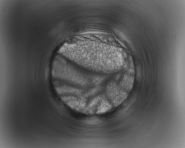 X0000088720451200706282107