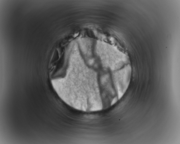 X0000088720453200706282107