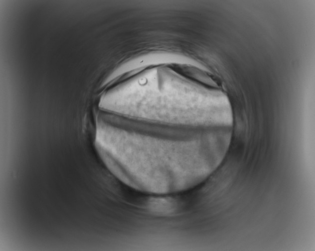 X0000088720457200706282107